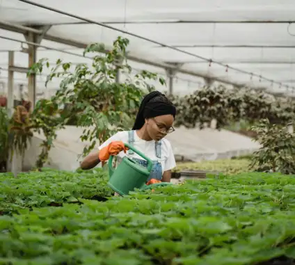 Ultrices sagittis orci a scelerisque purus semper eget duis at. Sollicitudin nibh sit amet.