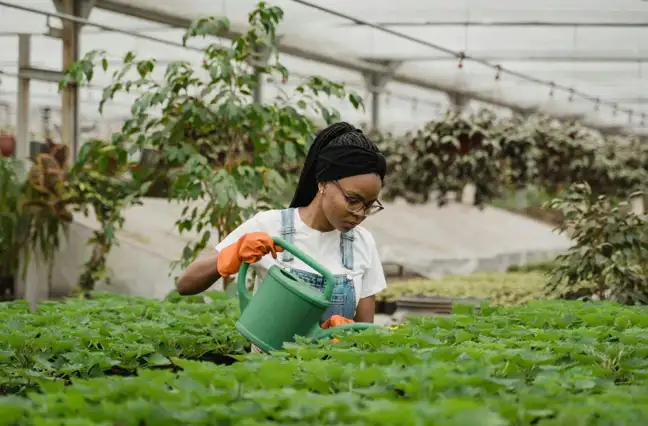 Ultrices sagittis orci a scelerisque purus semper eget duis at. Sollicitudin nibh sit amet.