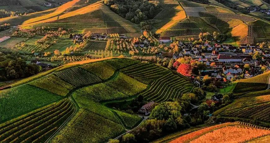 We grow fresh, organic produce using clean methods that protect nature, healthy food.