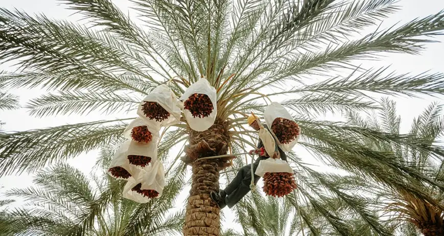 Organic farms avoid toxic inputs, improve soil health, grow clean, sustainable food that supports nature.