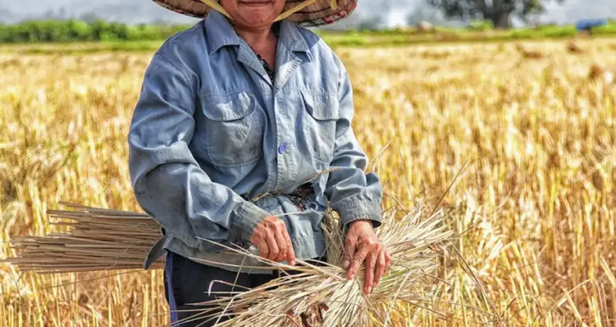 There are many variations of passages of Lorem Ipsum available, but majority have suffered teration in some form, by injected humour, or randomised words which don't look even slight believable. If you are going to use a passage of Lorem Ipsum.