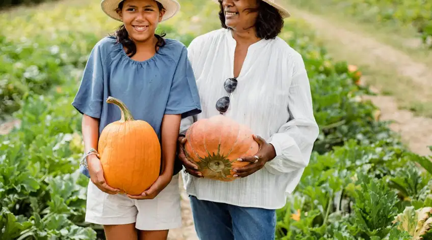 Ultrices sagittis orci a scelerisque purus semper eget duis at. Sollicitudin nibh sit amet.