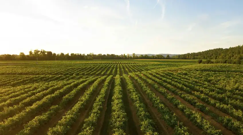 There are many variations of passages of Lorem Ipsum available, but majority have suffered teration in some form, by injected humour, or randomised words which don't look even slight believable. If you are going to use a passage of Lorem Ipsum.