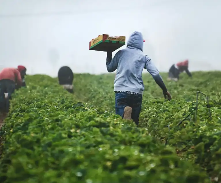 There are many variations of passages of Lorem Ipsum available, but majority have suffered teration in some form, by injected humour, or randomised words which don't look even slight believable. If you are going to use a passage of Lorem Ipsum.