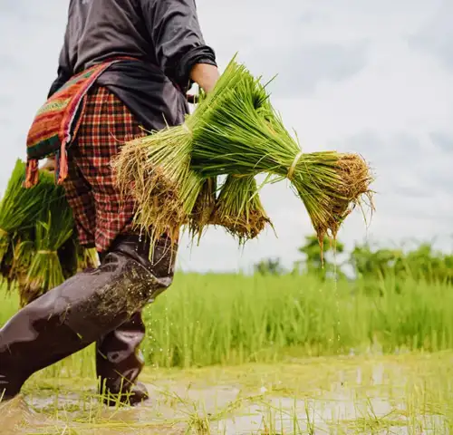 There are many variations of passages of Lorem Ipsum available, but majority have suffered teration in some form, by injected humour, or randomised words which don't look even slight believable. If you are going to use a passage of Lorem Ipsum.