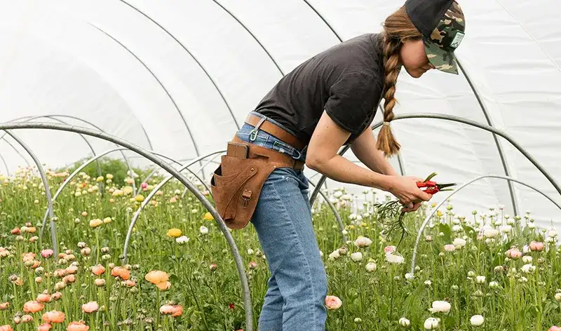 There are many variations of passages of Lorem Ipsum available, but majority have suffered teration in some form, by injected humour, or randomised words which don't look even slight believable. If you are going to use a passage of Lorem Ipsum.